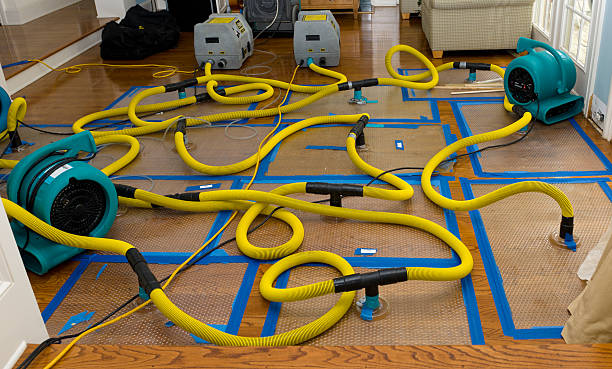 Professional Crawl Space Water Removal technician working in Winter Park, FL